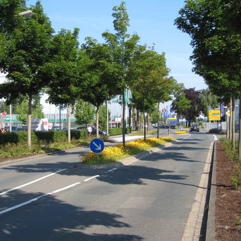 Dorfbeet - Langebrügger Straße